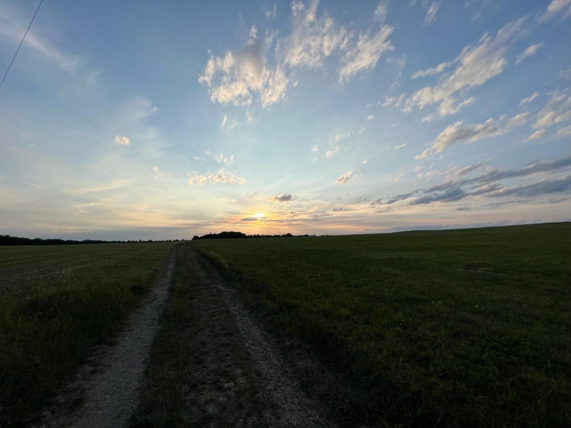 1,5-Zimmer Mit Duschbad, Gartenblick, Kuehlschrank Heroldsberg Buitenkant foto